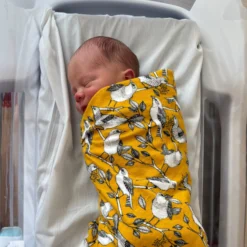 Swaddle Blanket: Flannel -Homeware Sale Store 77B4800C EDE8 445B AFBA B19DF3ED6C9C scaled