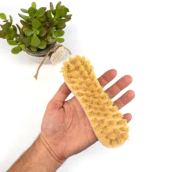 Cleaning Brushes: Tampico -Homeware Sale Store cleaning brushes tampico 614791