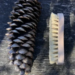 Cleaning Brushes: Tampico -Homeware Sale Store cleaning brushes tampico 843110