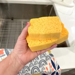 Compressed Sponge -Homeware Sale Store compressed sponge 518581