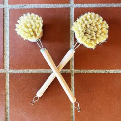 Dish Brush: Removable Head