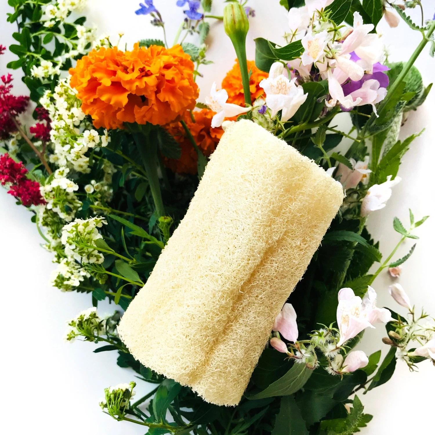 Loofah 2 Loofah - Image 2