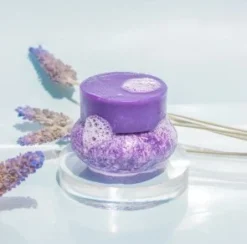 Organic Shampoo And Conditioner Bars