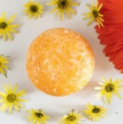 Organic Shampoo And Conditioner Bars -Homeware Sale Store organic shampoo and conditioner bars 579431