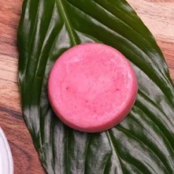 Organic Shampoo And Conditioner Bars -Homeware Sale Store organic shampoo and conditioner bars 751010