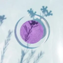 Organic Shampoo And Conditioner Bars -Homeware Sale Store organic shampoo and conditioner bars 892153