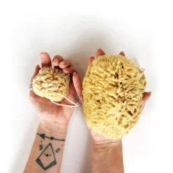 Sea Wool Sponge