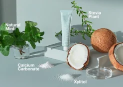 Toothpaste Tube: Davids 17 Toothpaste Tube: Davids -Homeware Sale Store toothpaste tube davids 173414