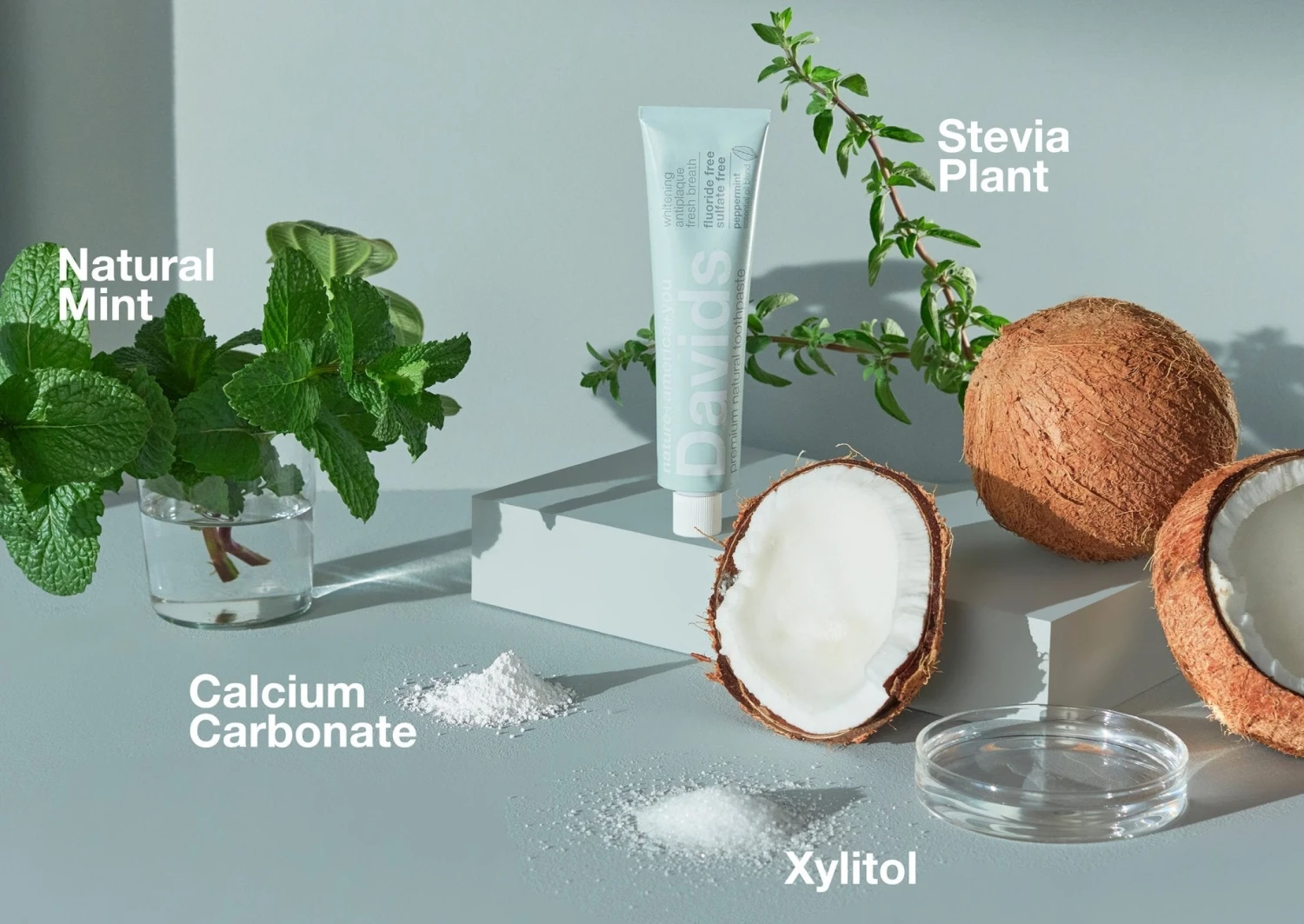 Toothpaste Tube: Davids 9 Toothpaste Tube: Davids - Image 9