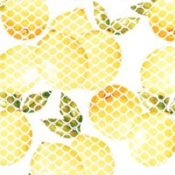 Washable Sponge -Homeware Sale Store washable sponge 981828